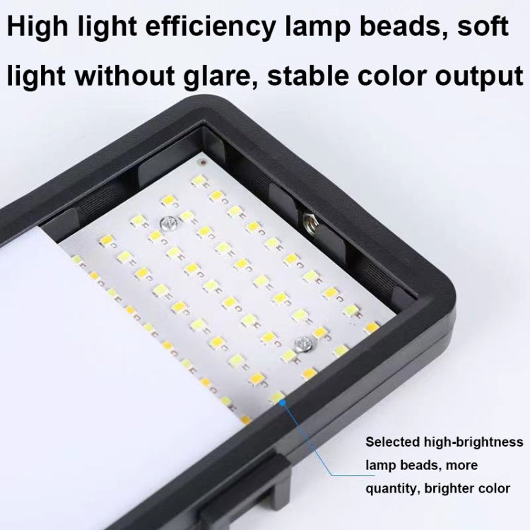 Lampada LED Desktop Live con Treppiede Telescopico 6" e 8"