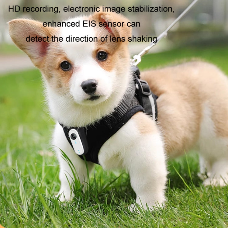Videocamera sportiva per ciclismo con registratore portatile per animali domestici HD per esterni, No TF Card, With 32G TF Card, With 64G TF Card, With 128G TF Card, With Silicone Collar, With Silicone Collar+32G TF Card