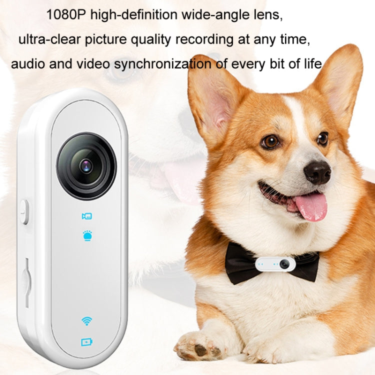 Videocamera sportiva per ciclismo con registratore portatile per animali domestici HD per esterni, No TF Card, With 32G TF Card, With 64G TF Card, With 128G TF Card, With Silicone Collar, With Silicone Collar+32G TF Card
