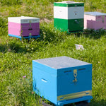 Connettore fibbia alveare Scatola per api Chiusura antifurto Attrezzi per apicoltura