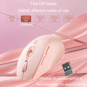 Mouse wireless Inphic DR801 2.4G+Bluetooth 5.0/4.0 USB Tri-Mode Mute Ricaricabile Ragazze Ufficio Casa Gaming Mouse