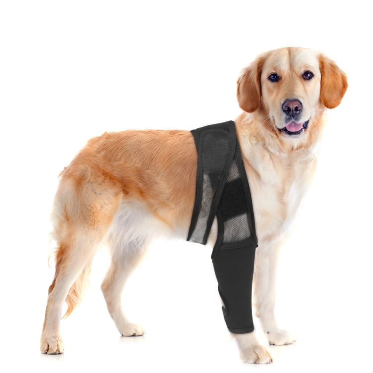 Cintura di supporto per lesioni da frattura della zampa del cane, S, M, L, XL