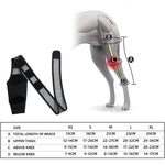 Cintura di supporto per lesioni da frattura della zampa del cane, S, M, L, XL
