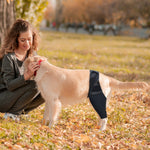 Cintura di supporto per lesioni da frattura della zampa del cane, S, M, L, XL
