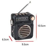 Mini Radio PuXing M8BT Bluetooth 5.0 con Torcia LED
