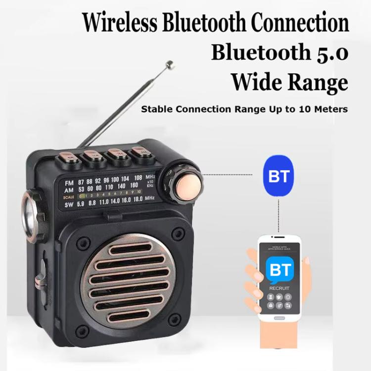 PuXing M8BT Mini Radio FM/AM/SW Multi-banda con Torcia LED