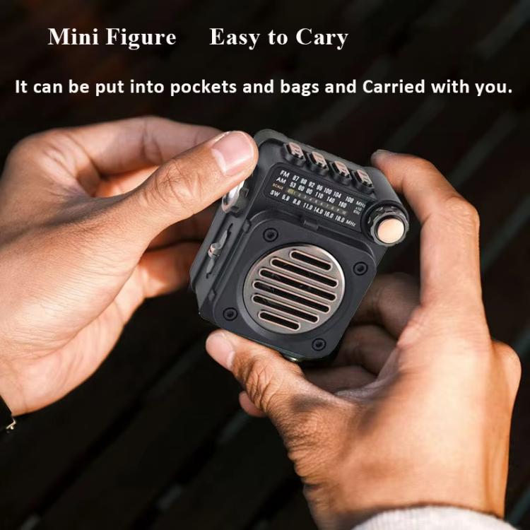 PuXing M8BT Mini Radio FM/AM/SW Multi-banda con Torcia LED