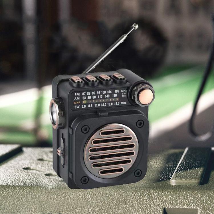 PuXing M8BT Mini Radio FM/AM/SW Multi-banda con Torcia LED