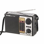 Radio solare IS-F10S con Bluetooth e torcia integrata