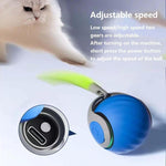 Giocattoli interattivi per gatti con palla auto-rotolante intelligente, ricaricabile tramite USB, con regolazione a due velocità, TUTU Orange, TUTU Blue