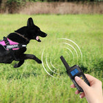 Dispositivo di addestramento per cani con telecomando elettrico intelligente per animali domestici T720 da 1000 m, Yellow Remote, Red Remote