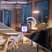 Tuya WiFi Smart Switch supporta il controllo vocale Amazon ALEXA/Google HOME, 10A, 20A, 30A