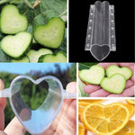 Stampo in plastica per la crescita a forma di frutta a forma di cuore