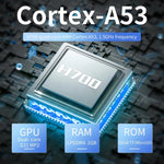 ANBERNIC RG CubeXX Console portatile con schermo IPS 3,95"