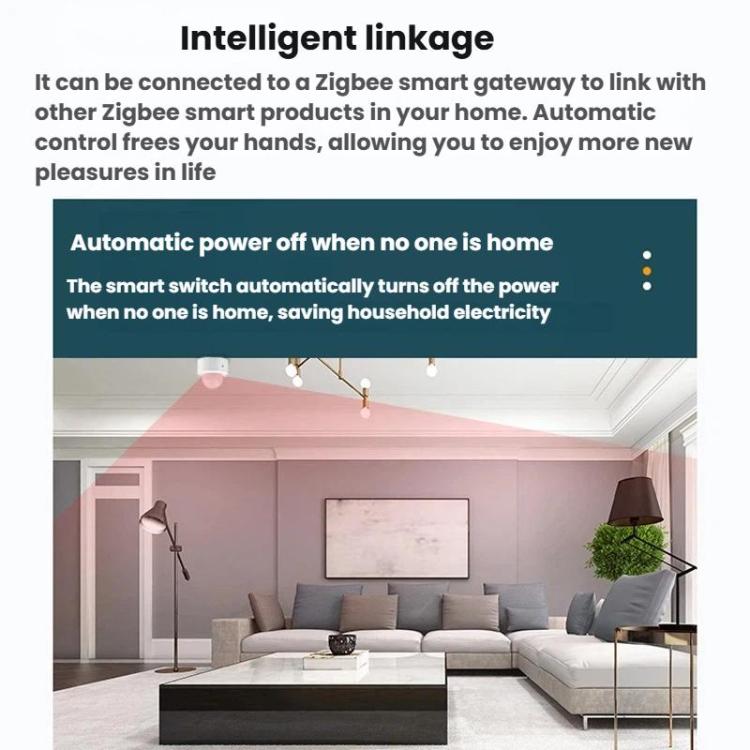 Sensore di movimento Zigbee per la casa intelligente, compatibile con Home Assistant., Light Sensor+IR, IR