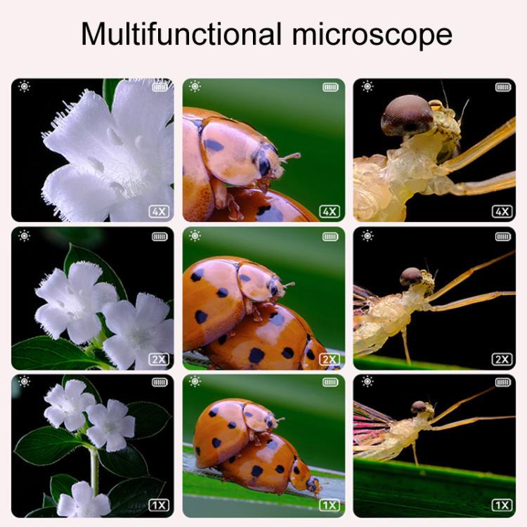 Set esperimenti scientifici per bambini con microscopio 500X