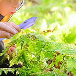 Set esperimenti scientifici per bambini con microscopio 500X