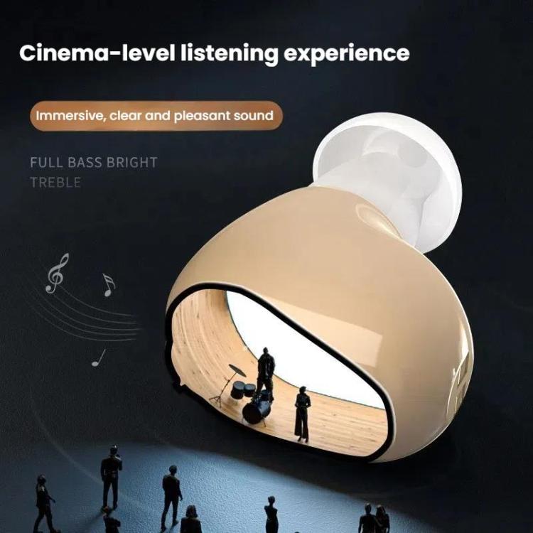 Hearing Aid Sound Amplifier Elderly Noise Reduction Sound Collector Hearing Aid Accessories, Battery Model