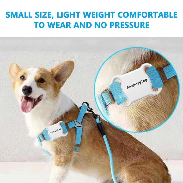Localizzatore GPS per cani e gatti, tracciamento globale in tempo reale, collare anti-smarrimento impermeabile, compatibile con l'app Findmytag.