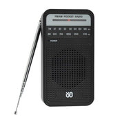 Radio portatile AM/FM con altoparlante integrato