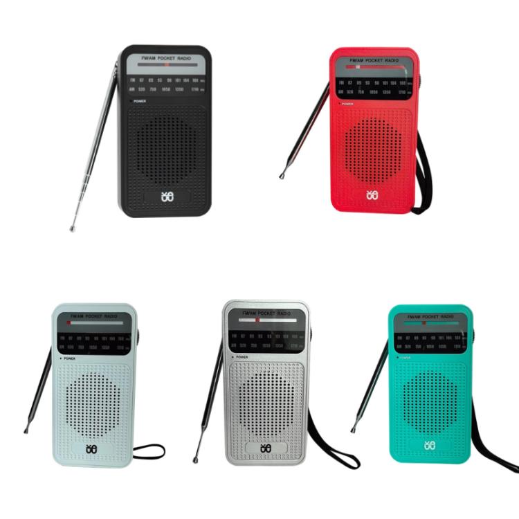 Radio portatile AM/FM con altoparlante integrato