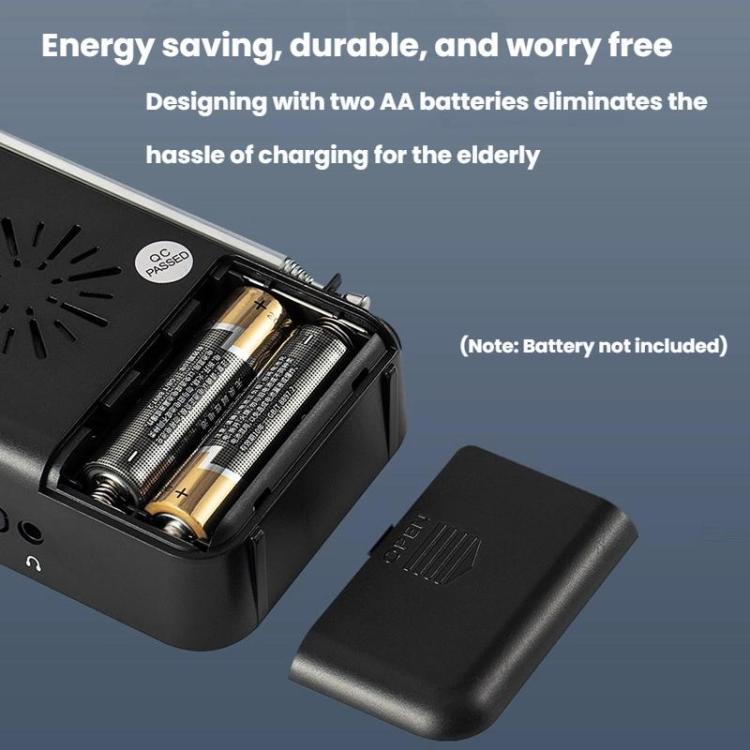 Portable Pointer AM/FM Full Channel Radio