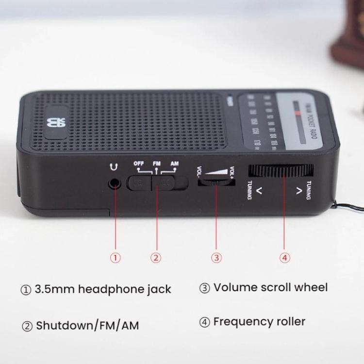 Radio portatile AM/FM con altoparlante integrato