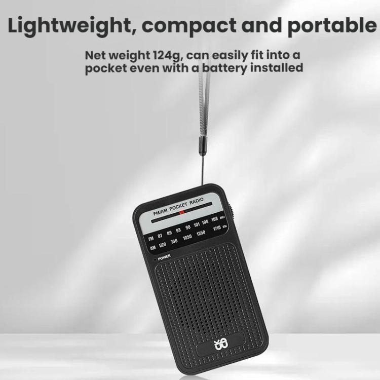 Radio portatile AM/FM con altoparlante integrato