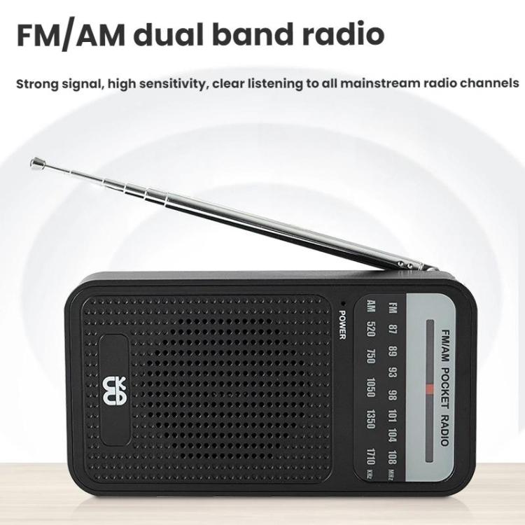 Radio portatile AM/FM con altoparlante integrato
