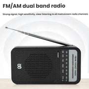 Radio portatile AM/FM con altoparlante integrato