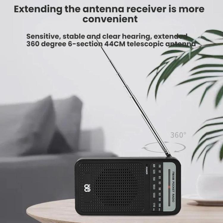 Radio portatile AM/FM con altoparlante integrato