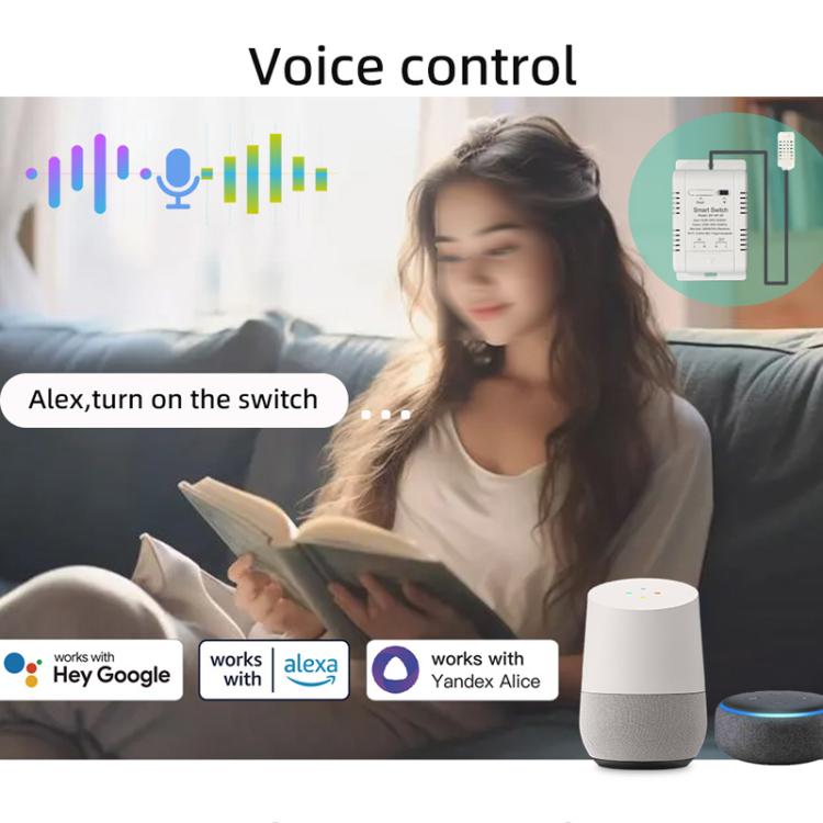 Termostato intelligente DIY-WT-09 da 20 A con interruttore di temperatura, compatibile con Google / Alexa / Yandex Alice / IFTTT, With 1m Temperature Sensor, With 2m Temperature Sensor, Humidity+1m Temperature Humidity Sensor