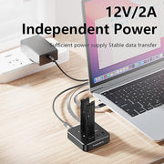 Docking station Blueendless SD08A M.2 NVMe SSD con doppio alloggiamento USB 3.2 Gen2 a 10 Gbps e funzione di clonazione offline con un solo tasto., US Plug, EU Plug, UK Plug