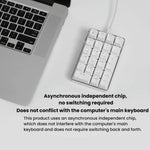 Little Kangaroo DS-9817 Backlit Non-Switching Wired Numeric Keypad Financial Business Banking Keyboard, DS-9817