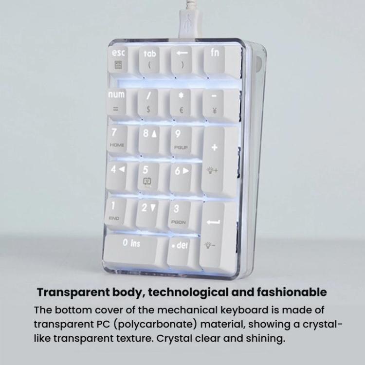 Little Kangaroo DS-9817 Backlit Non-Switching Wired Numeric Keypad Financial Business Banking Keyboard, DS-9817