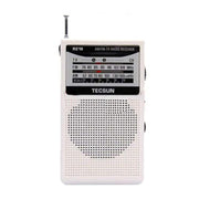 Radio portatile TECSUN R-218 FM/AM analogica tascabile
