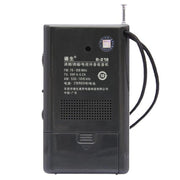 Radio portatile TECSUN R-218 FM/AM analogica tascabile