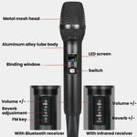Microfono wireless per trasmissione diretta del canto, microfono portatile, LS07+N33 1 Tow 1 Bluetooth Version, LS07+N33 1 Tow 1 Infrared Version, LS07+N33 1 Tow 2 Bluetooth Version, LS07+N33 1 Tow 2 Infrared Version