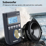 Radio portatile RIZFLY MY518 con trasmettitore Bluetooth a 2 bande FM/AM.