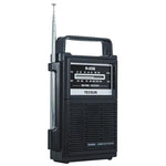 Radio portatile TECSUN R-206 FM/MW a due bande