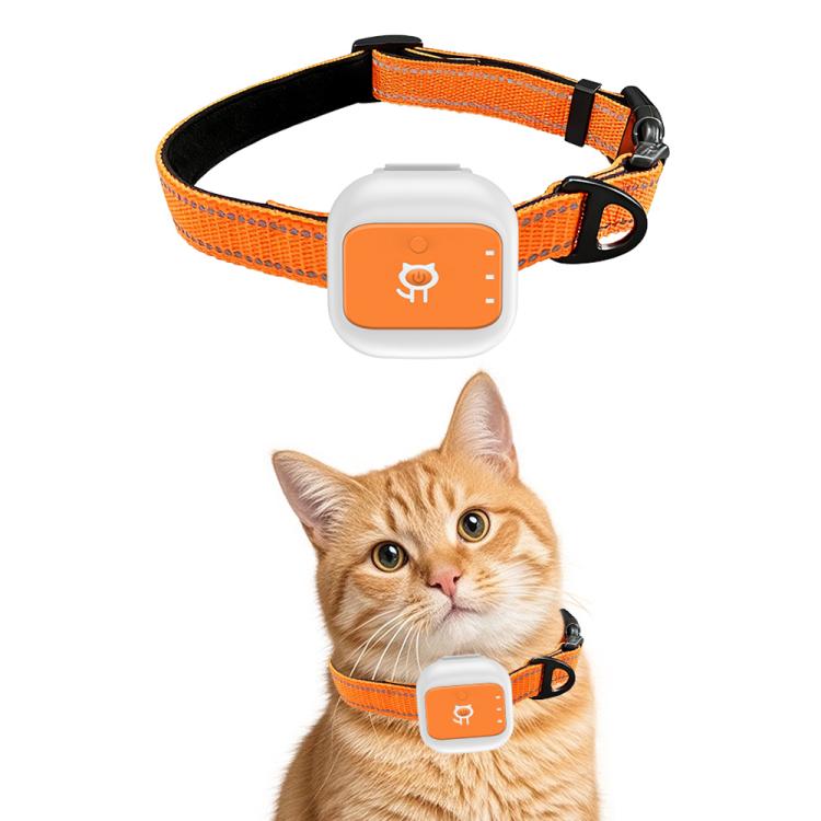 Collare elettronico per animali domestici con allarme SOS e localizzazione GPS/Wi-Fi in tempo reale, funzione SOS di soccorso e recinzione elettronica.