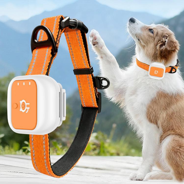 Collare elettronico per animali domestici con allarme SOS e localizzazione GPS/Wi-Fi in tempo reale, funzione SOS di soccorso e recinzione elettronica.