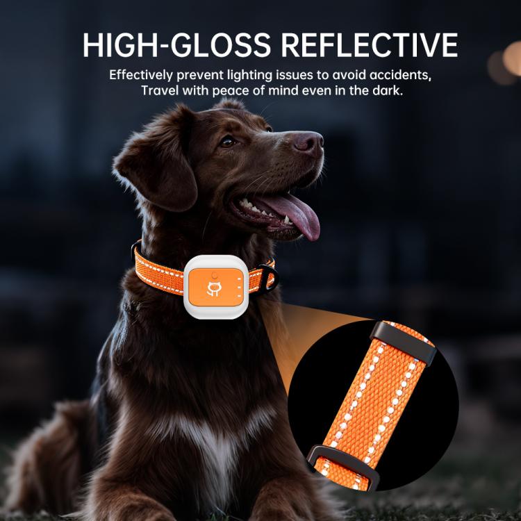 Collare elettronico per animali domestici con allarme SOS e localizzazione GPS/Wi-Fi in tempo reale, funzione SOS di soccorso e recinzione elettronica.