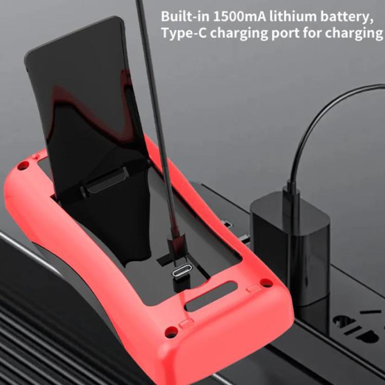 Termometro portatile a infrarossi ZOYI ZT-R01 con borsa