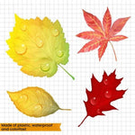 2 set di adesivi universali impermeabili per coprire i graffi dell'auto., Maple Leaves