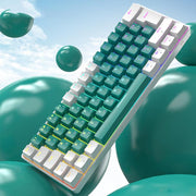 ZIYOULANG T60 Russian Mechanical Keyboard 1.5m Wired Illuminated Gaming Keyboard, Microglow Blue Switch, Microglow Red Switch, Bee Blue Switch, Bee Red Switch, Blue Red Switch, Aqua Green Blue Switch, Chalk Blue Switch