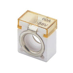 Fusibili ceramici per batterie di yacht e auto, 50A, 60A, 80A, 100A, 150A, 200A, 250A, 300A