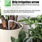 Sistema di irrigazione automatico intelligente a doppia pompa WD-01BDE con controllo remoto tramite app e Wi-Fi., WD-01BDE