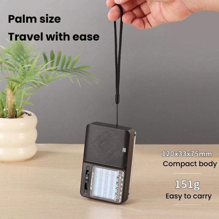 Radio portatile W-913 multibanda FM AM SW1-7