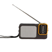 Radio portatile W-916 FM/AM doppia banda con luce lettura